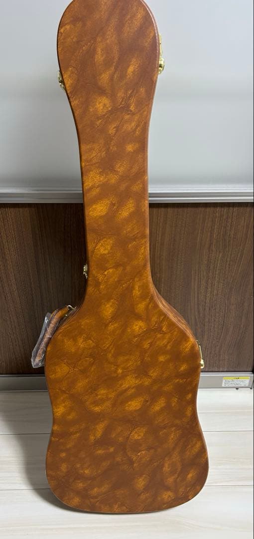 ギター Bruno Guitars TN-295 gold