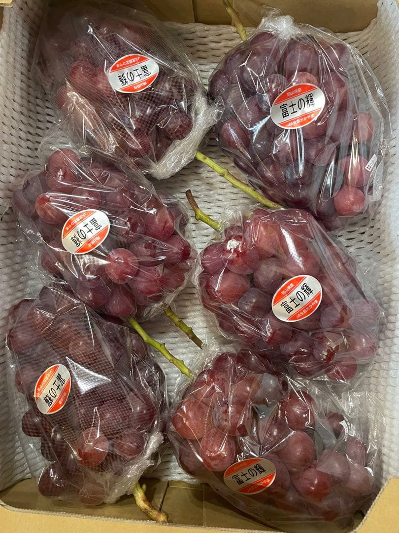 12【岡山県産】富士の輝　約5キロ