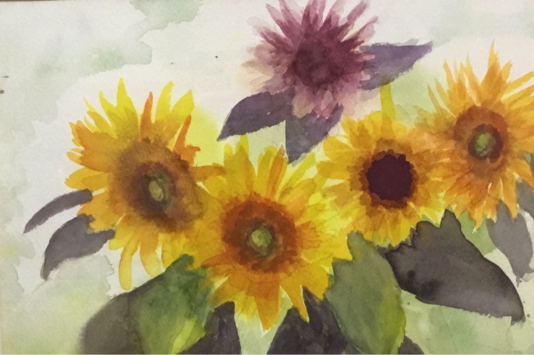 透明水彩画　原画　F4　「ひまわり」　フレーム付