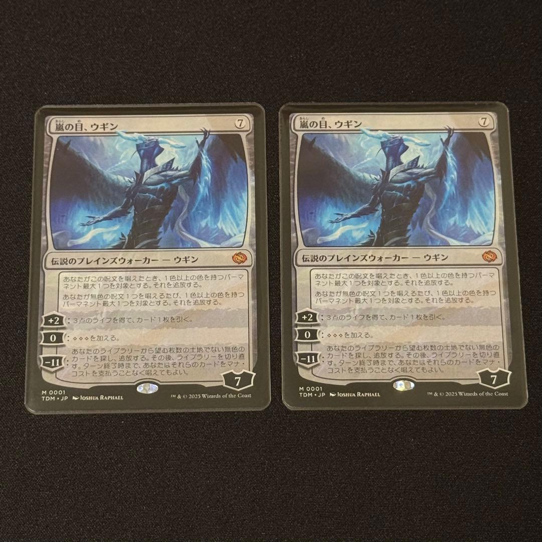 《嵐の目、ウギン》日本語 2枚