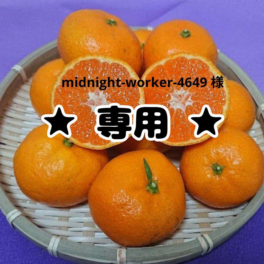 ✩midnight-worker-4649 様✩専用 南柑20号 ５㌔×3箱