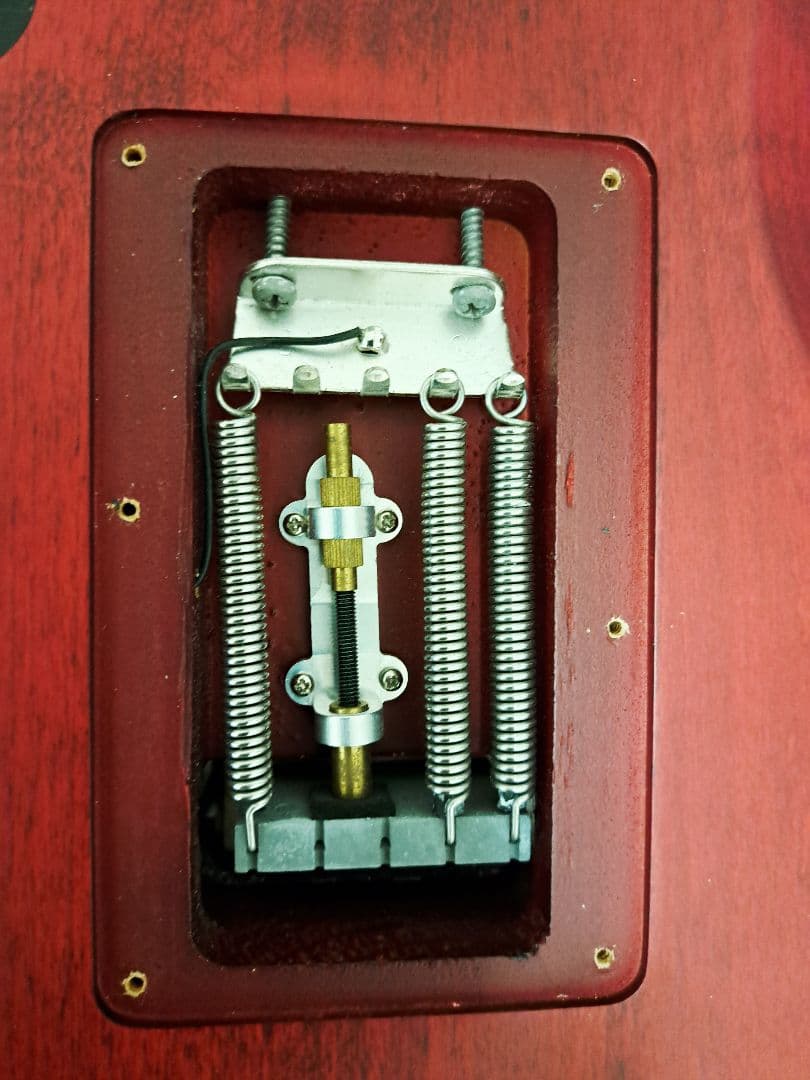 ギター Washburn N24 Alder padauk