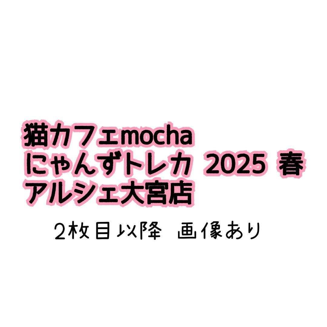 【猫カフェMOCHA 】アルシェ大宮店 2025年Spring トレカ