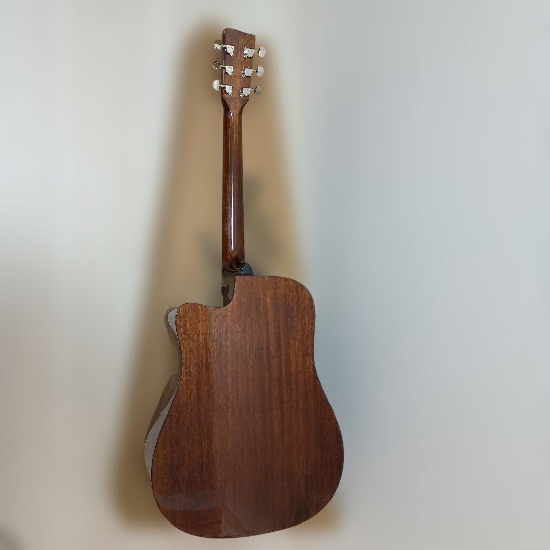 Recording King RD-C6-CFE5 アコースティックギター