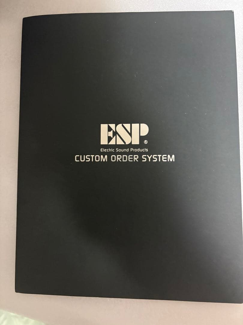 ESPギター SUGIZO モデルギター　ESPオーダーギターLUNASEA