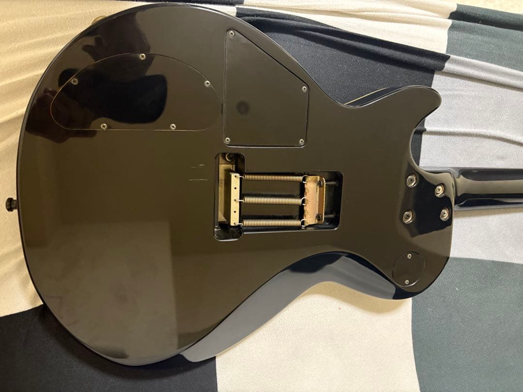 ESPギター SUGIZO モデルギター　ESPオーダーギターLUNASEA