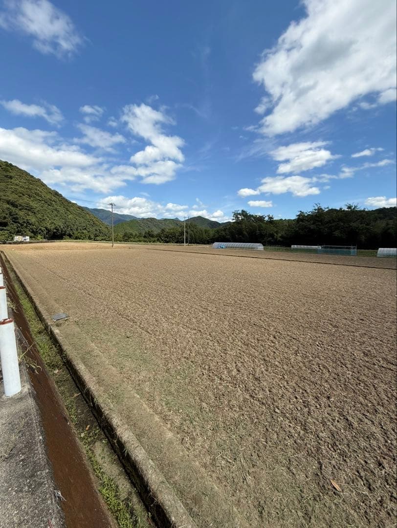 令和7年度愛媛県産コシヒカリ10k 有機肥料で作ったお米　 プレミアム(一等米)