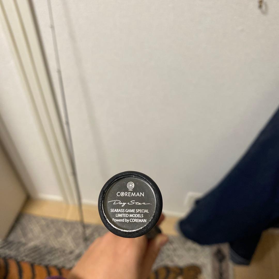 コアマン　DayStar.(デイスター) CDS86L-CS アルカリダートSP