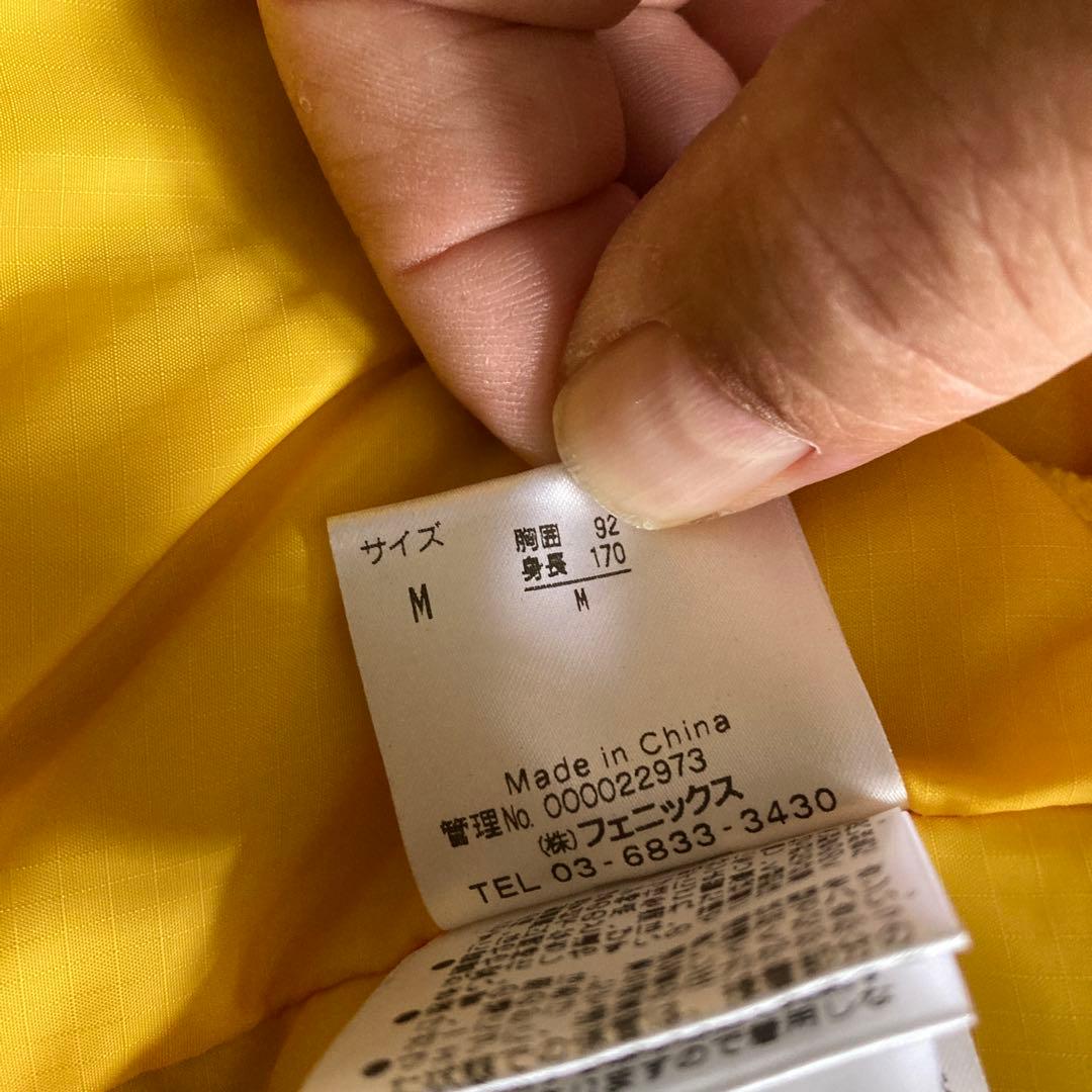 スキー phenix  wear