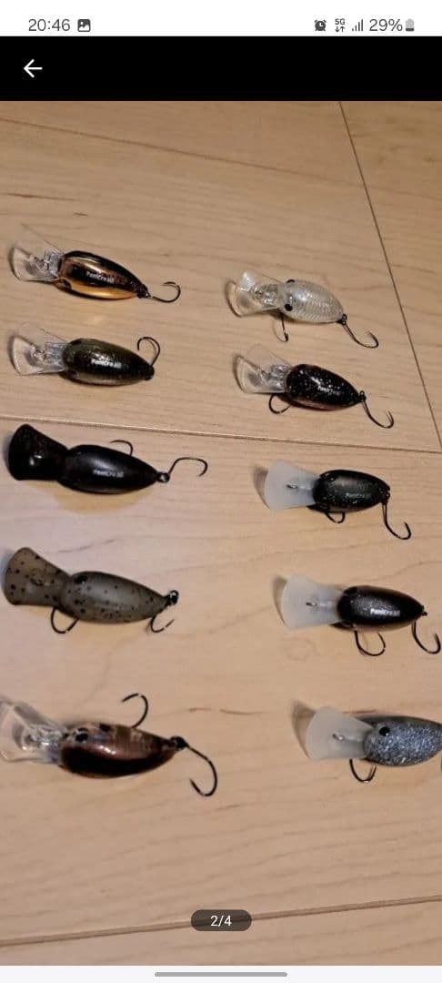 ティモン パニクラ MR ② 10個セット