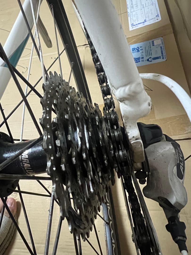 BIANCHI | CAMALEONTE SPORT due クロスバイク