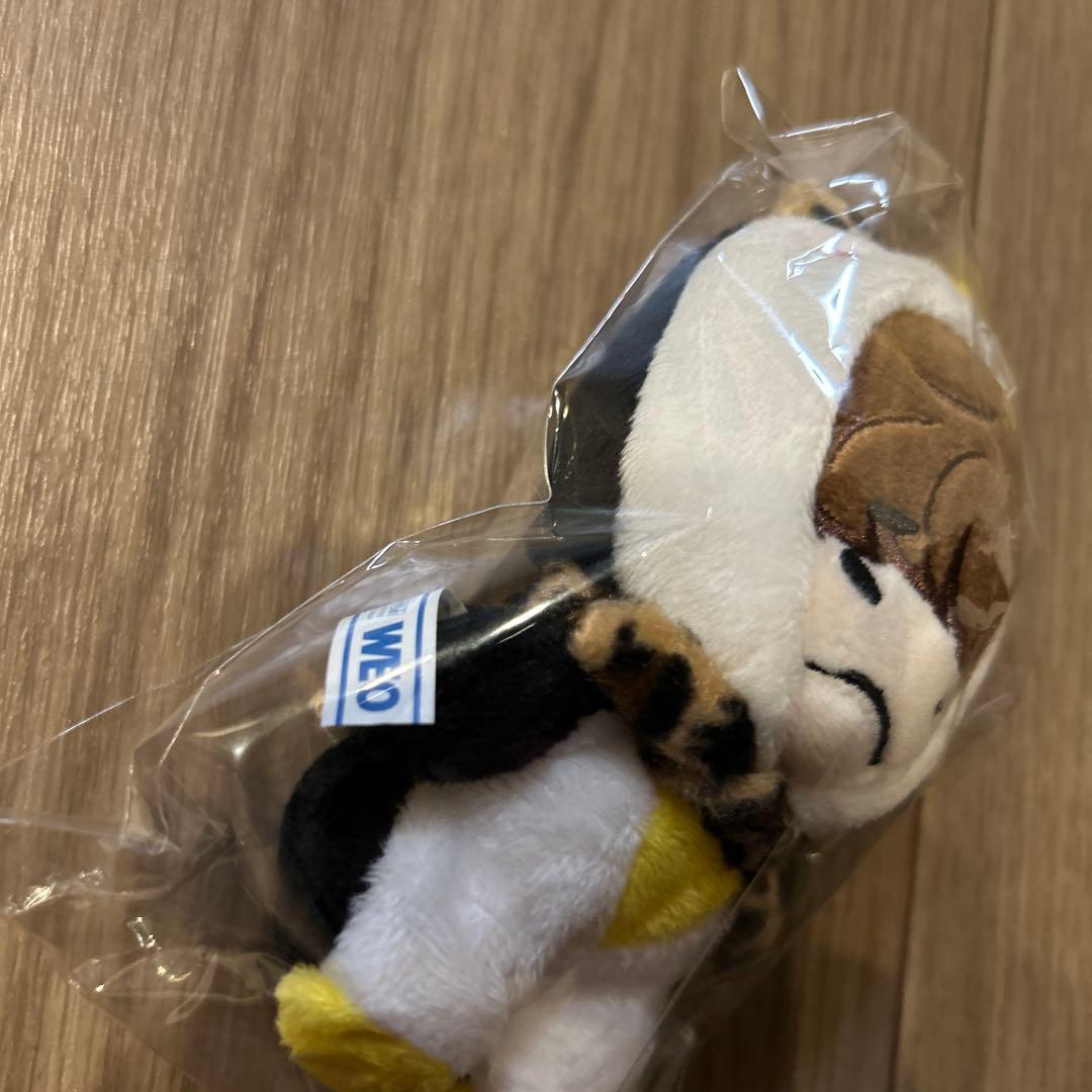 【10cm】2PM ジュノ　ジュノドール イップニ　イップニちゃん ペンペン衣装