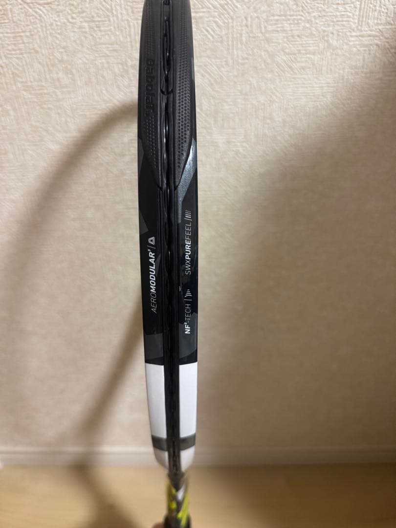 ピュアアエロチーム(2023)