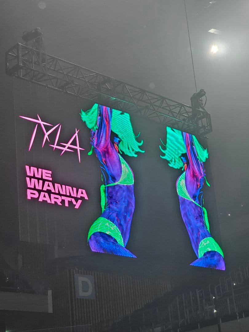 【会場限定販売】TYLA ロゴ刺繍 ダメージ加工　キャップ 黒　オマケ付き