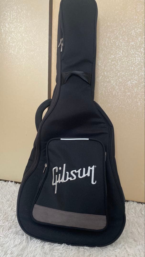 ギター Gibson G-Writer EC