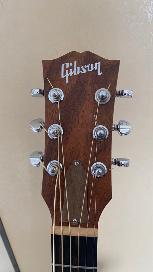 ギター Gibson G-Writer EC