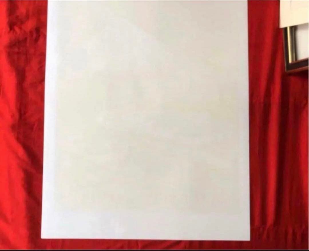 2239様感謝‼️ 富士愛‼️富士vsベルナール・ビュフェ「富士山」石版画シート1枚