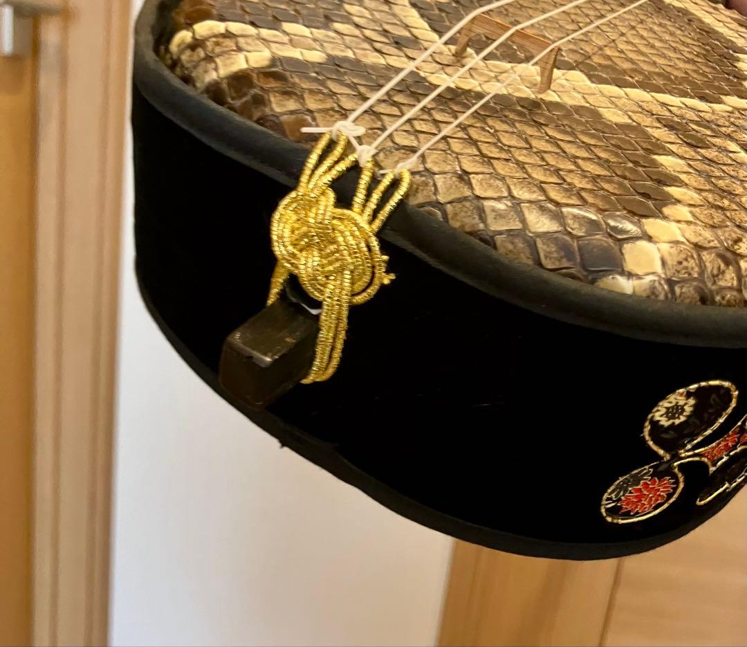 ゴーヤー　三線 八重山黒木 盛嶋開鐘タイプ