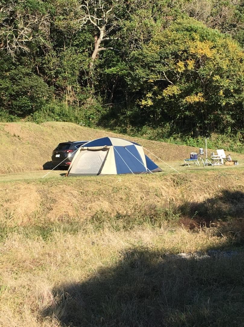 【Ogawaテント】 スクート DX6 (純正マルチシート付）