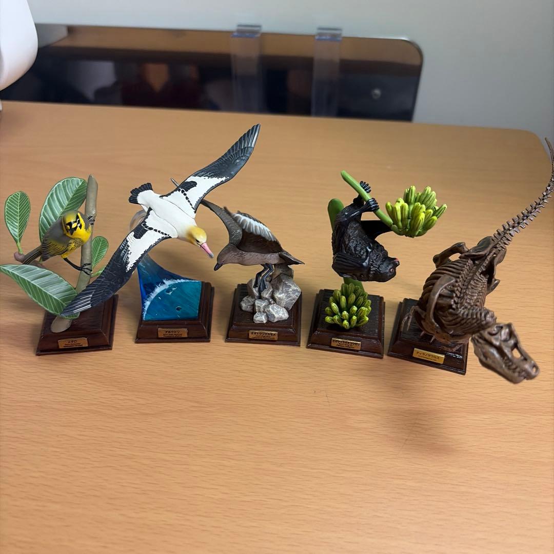 ネイチャーテクニカラー　オガサワラコウモリ　メジロ　トウゾクカモメ　ティラノ　小