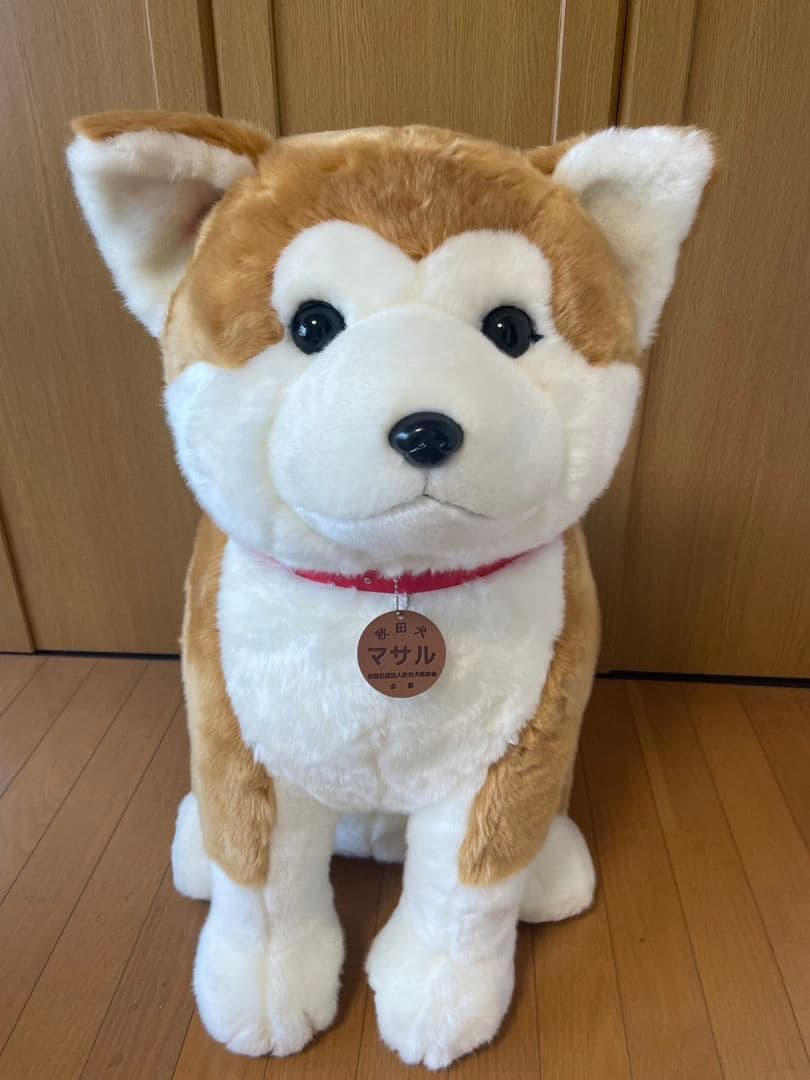【3日間限定値下げ♫】秋田犬マサル　ぬいぐるみ　特大