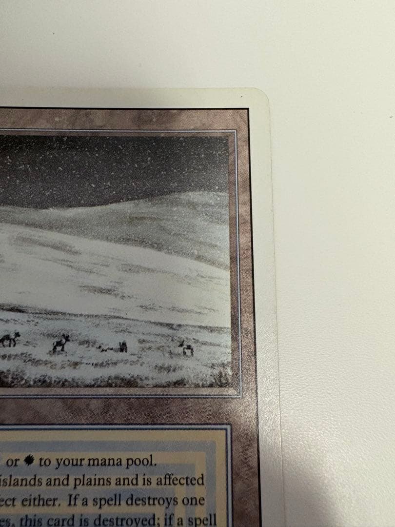 マジック：ザ・ギャザリング Tundra poor