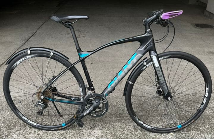 Giant Fastroad ジャイアント ファストロード