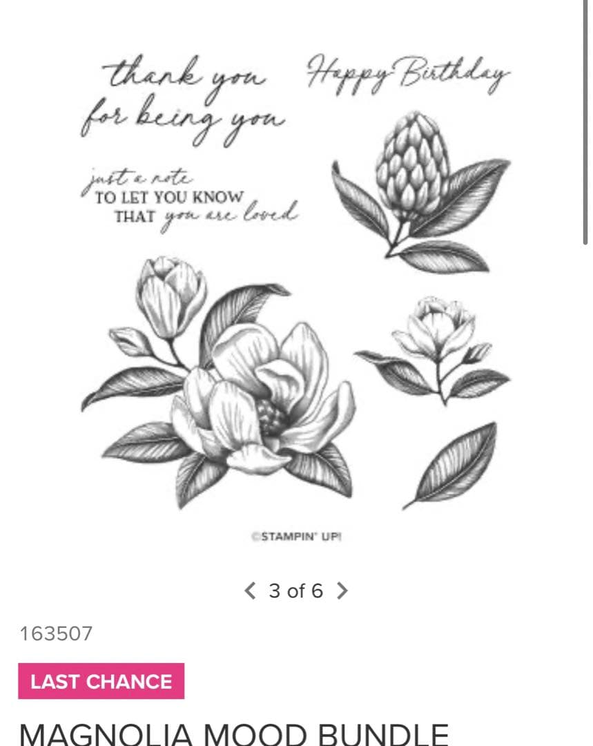 一点限り♡未使用スタンピンアップ　豪華マグノリアスタンプ&ダイセット