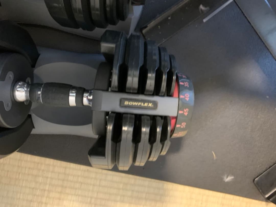 Bowflex ボウフレックス アジャスタブルダンベル　24kg 2個　レア