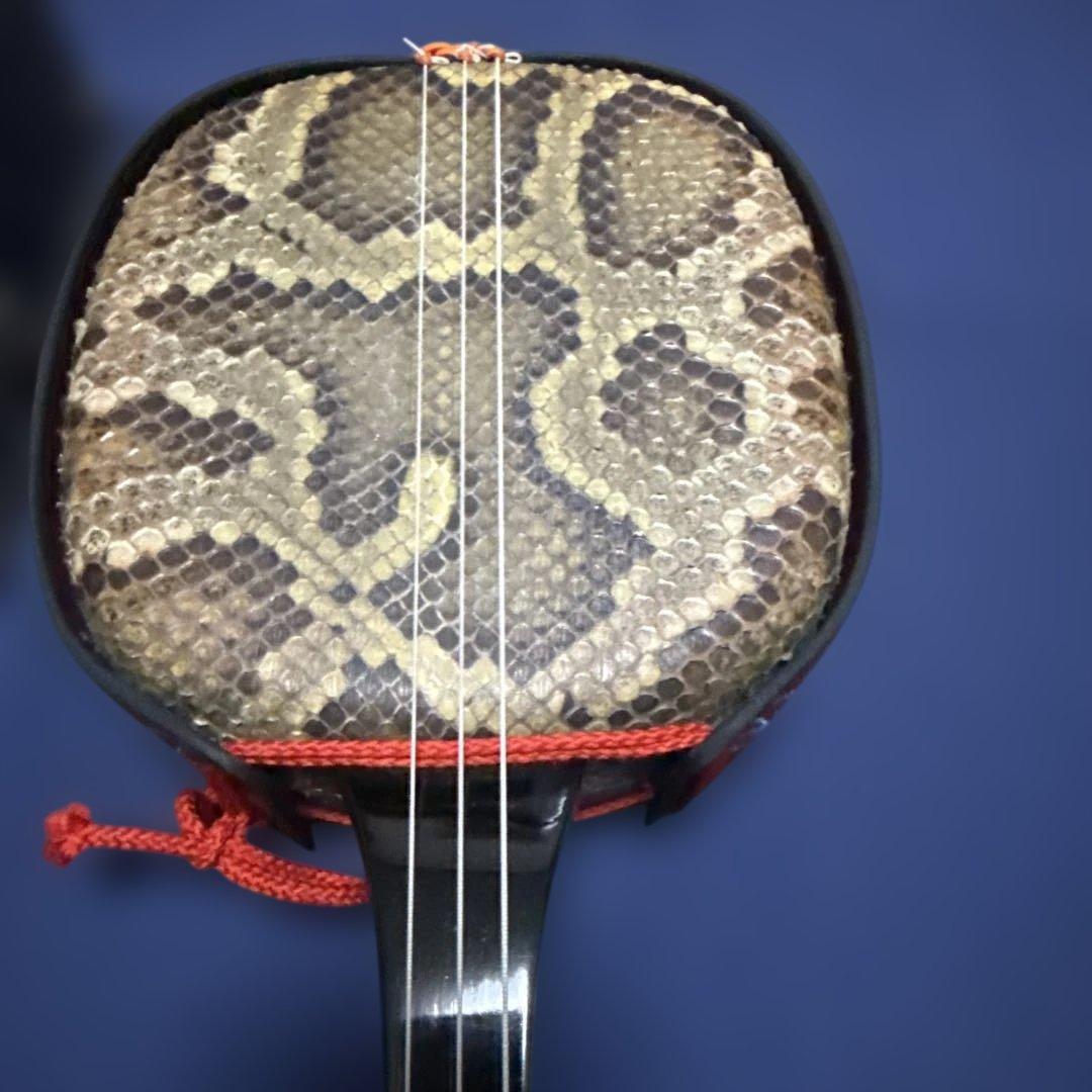 三線 （蛇皮ニシキヘビ）　ハードケース付き