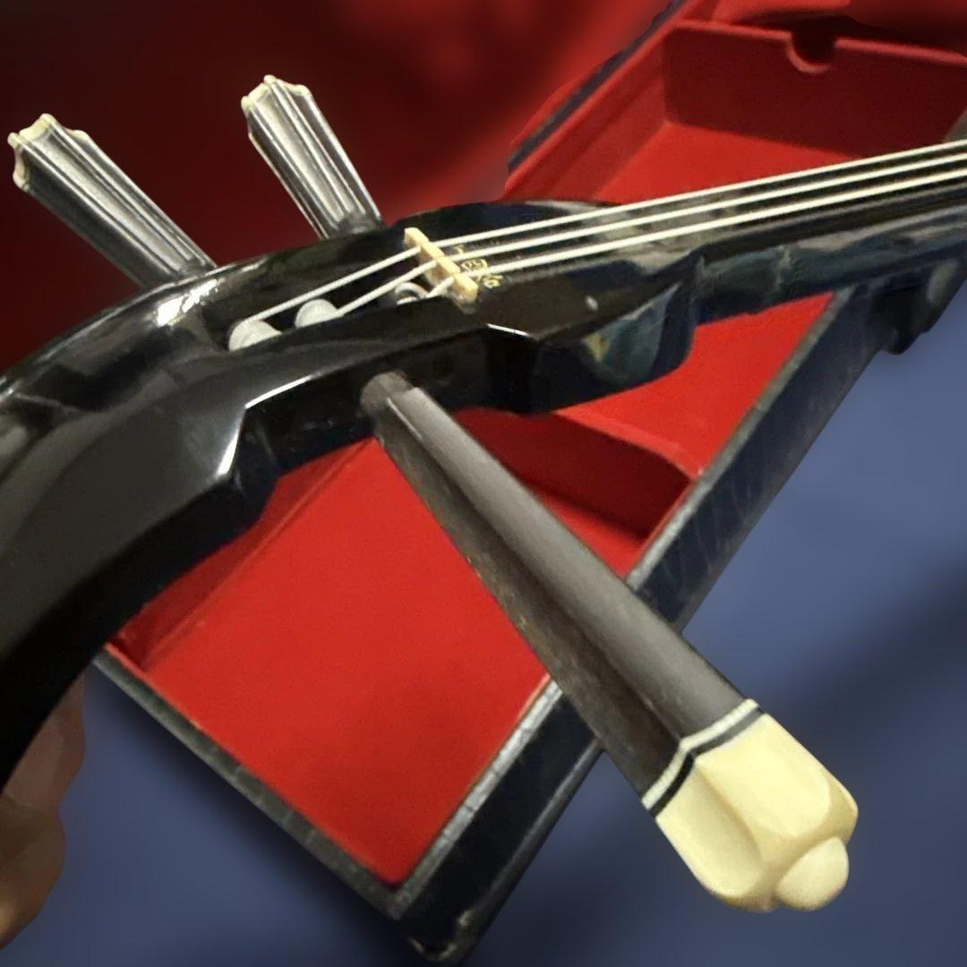 三線 （蛇皮ニシキヘビ）　ハードケース付き