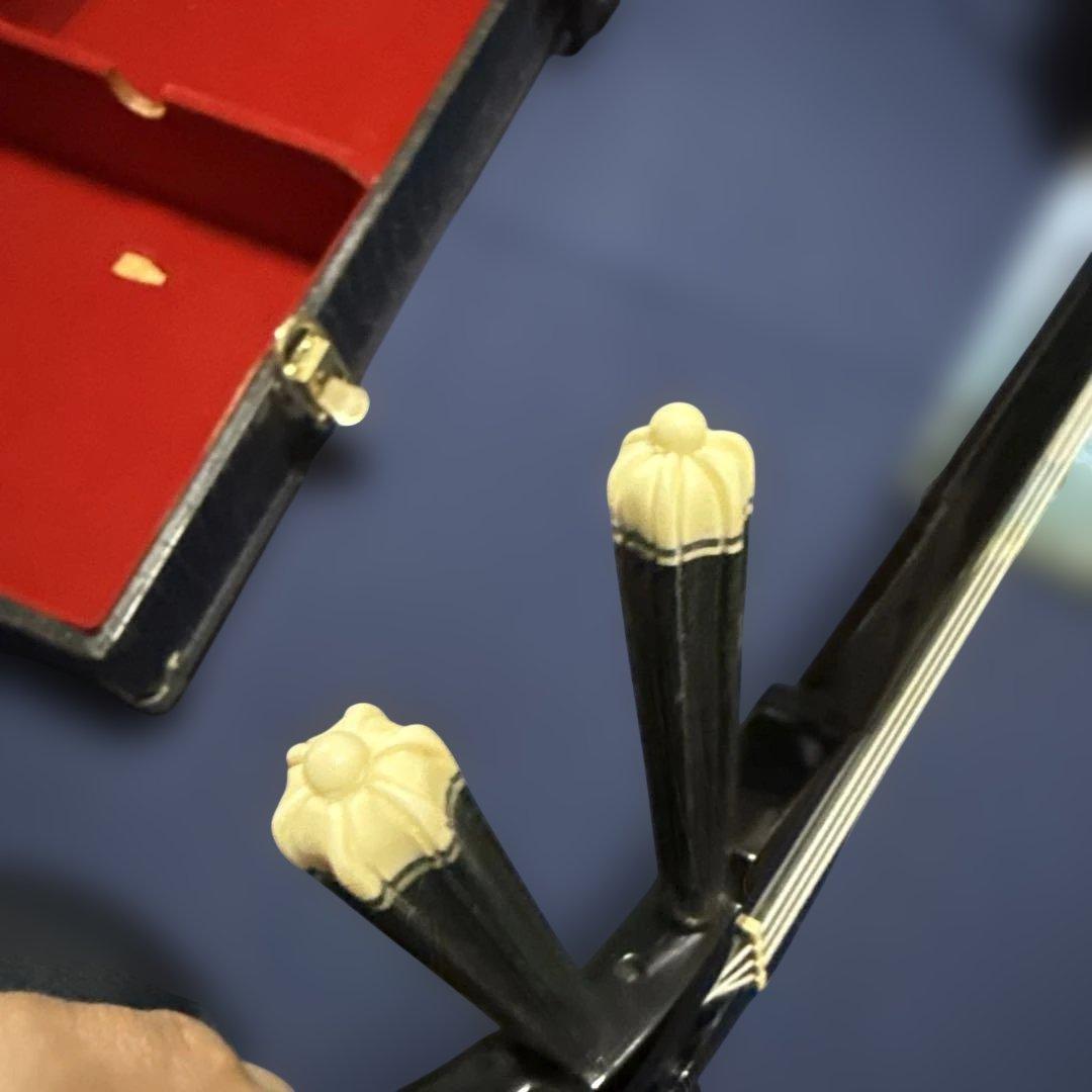 三線 （蛇皮ニシキヘビ）　ハードケース付き