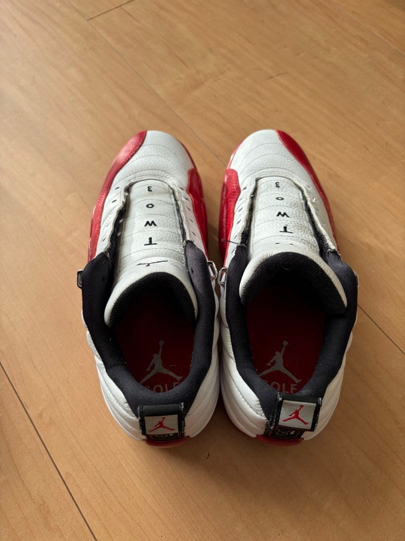 シューズ(男性用) NIKE AIR JORDAN 12 GOLF