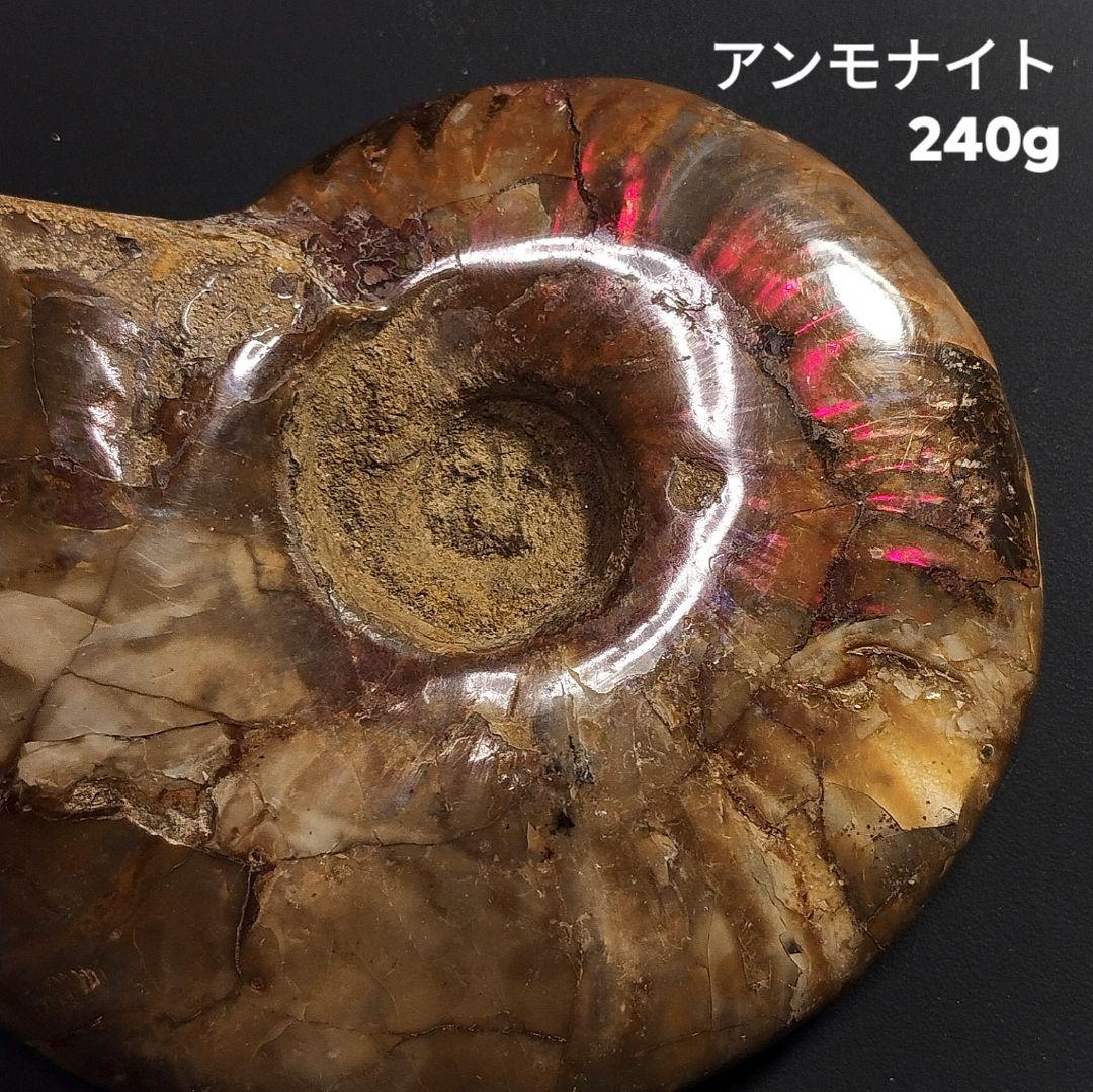 240g アンモナイト 化石 アンモライト オパール化 本物 原石 鉱物標本