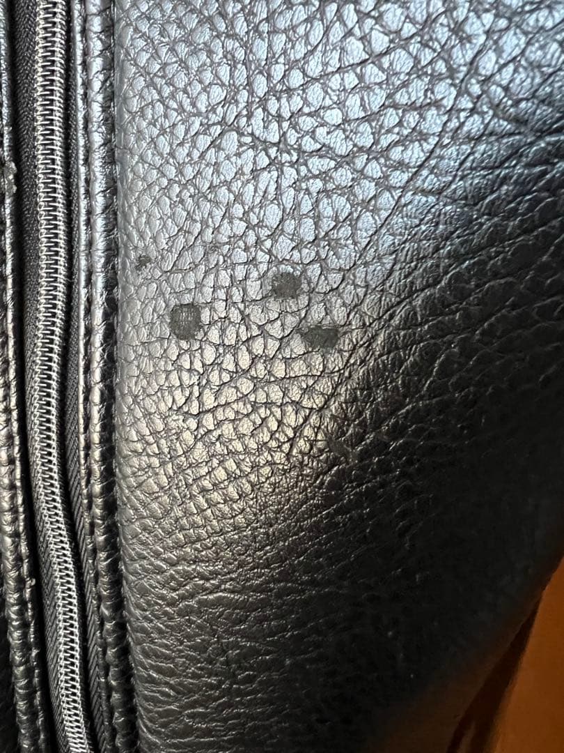 ラウドマウスシャガデリックシルバー刺繍柄ゴルフバッグ