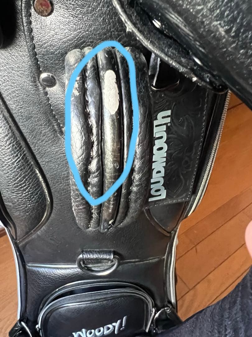 ラウドマウスシャガデリックシルバー刺繍柄ゴルフバッグ