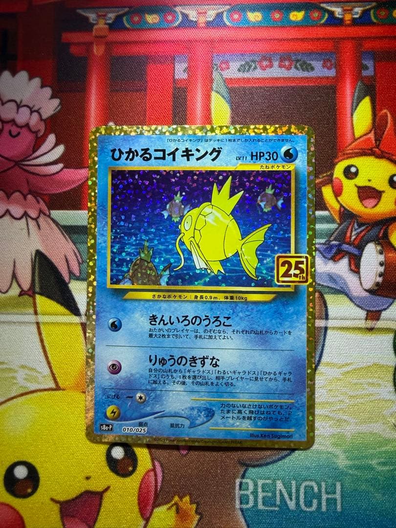 ひかるコイキング25th