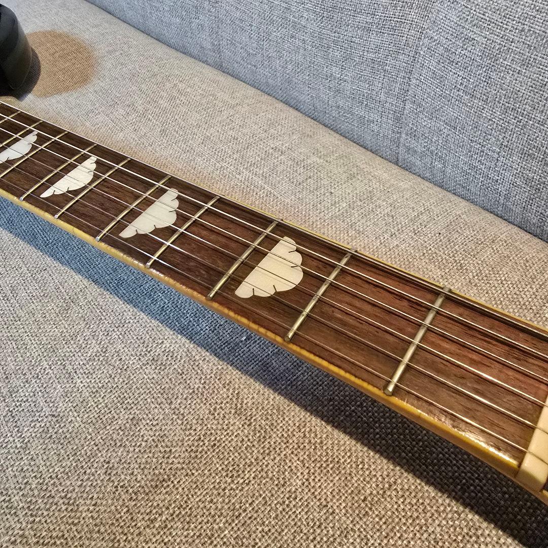 JAGARD モッキンバード エレキギター