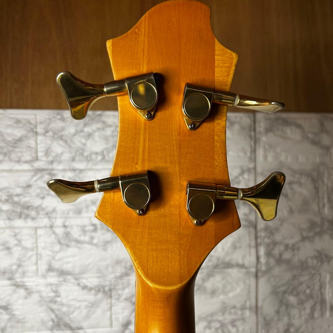 【美品•メンテ済】GrassRoots G-T-65EL ラルク tetsuya