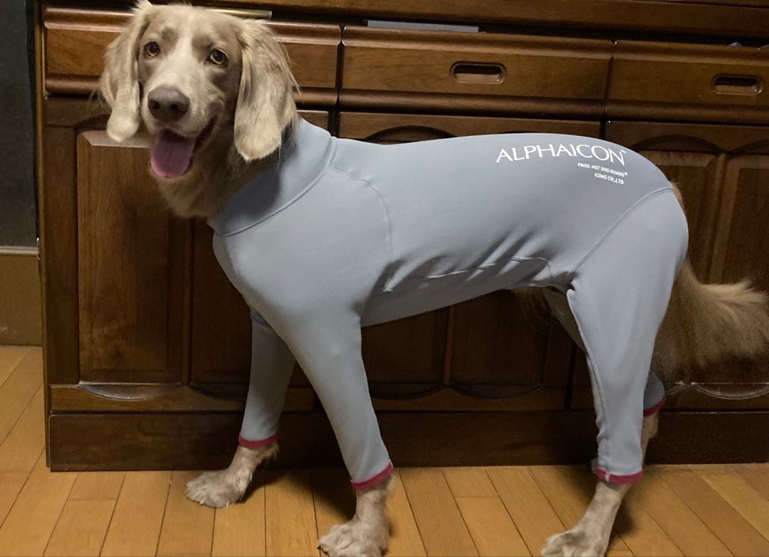 大型犬。ALPHAICON ホットドックガードXL
