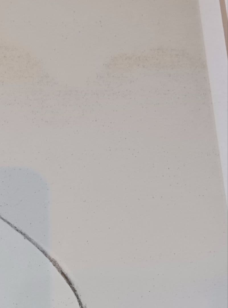 竹久夢二『女十題の内　ネルの感触　144/300』版画　リトグラフ　額縁無し