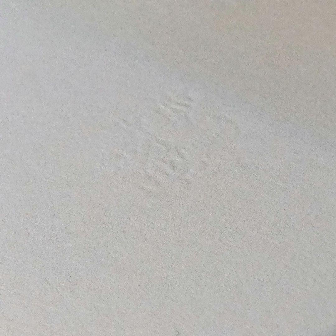 竹久夢二『女十題の内　ネルの感触　144/300』版画　リトグラフ　額縁無し