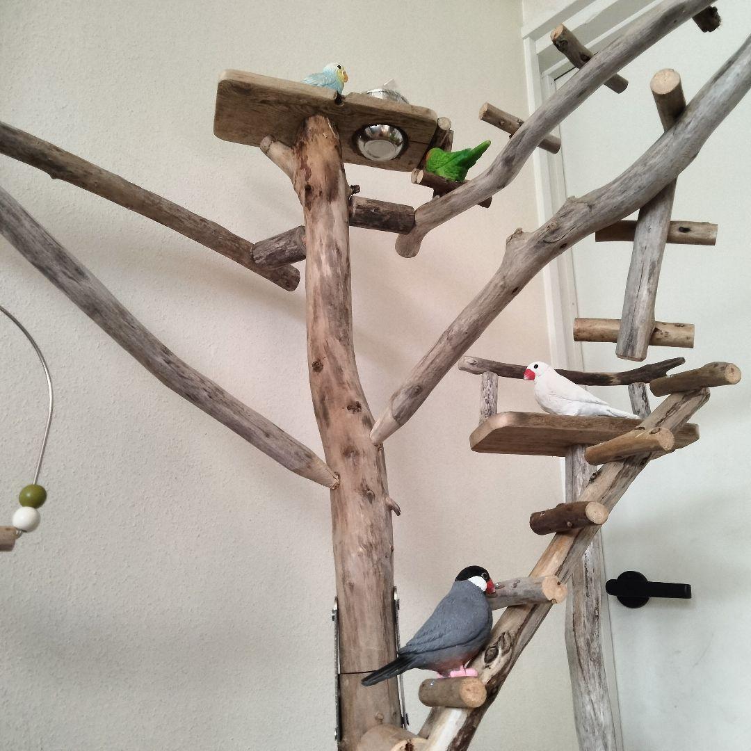 バードアスレチックジム大型 ㊺ 天然木 自然木 流木 インコ おもちゃ