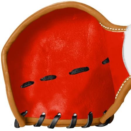 RF Inc.様　ミズノプロ軟式オーダーグラブ