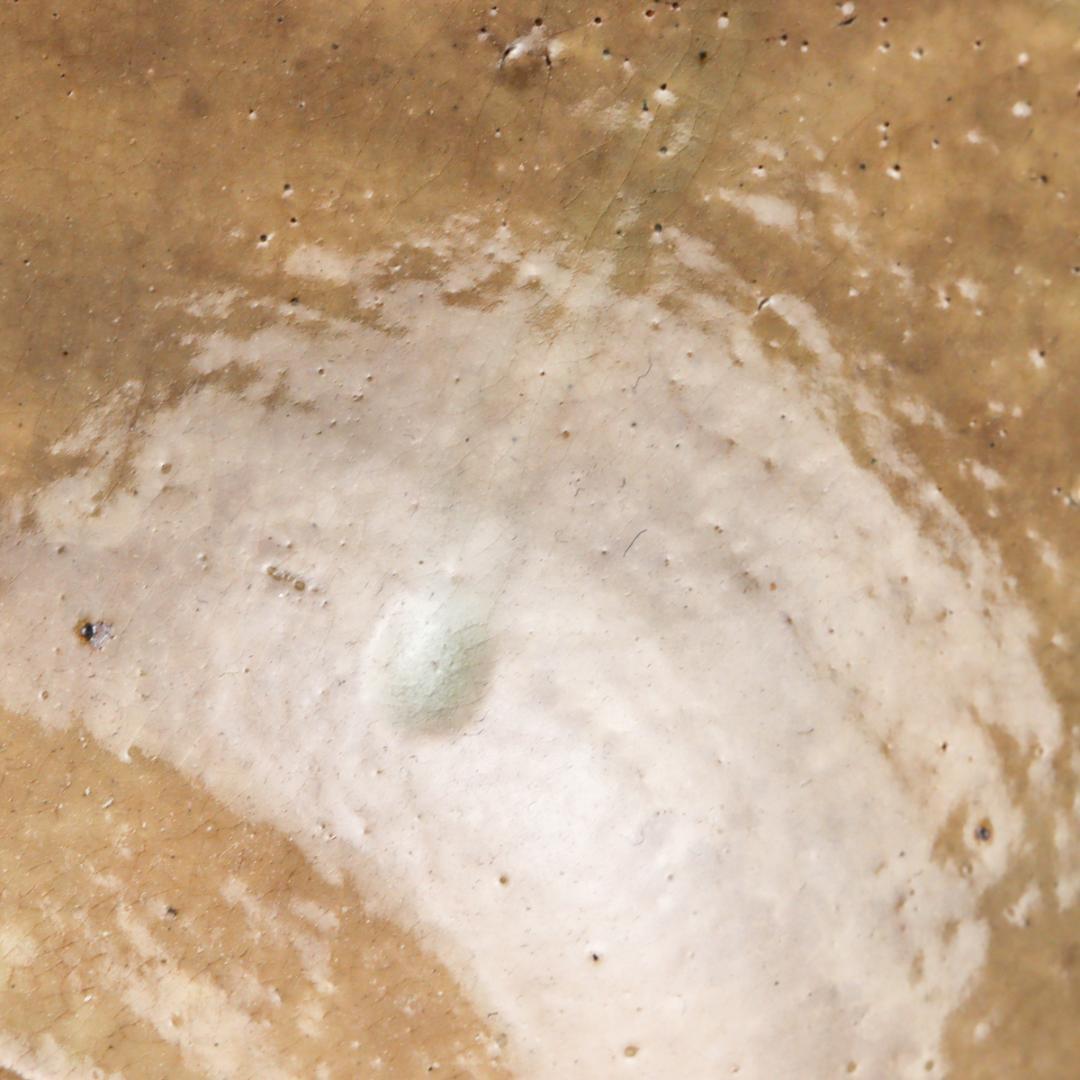 御本手 輪花 鉢 21cm