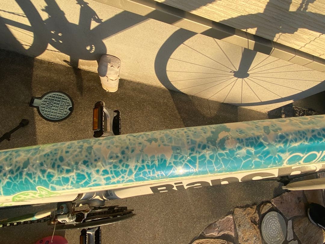 BIANCHI camaleonte sport due サイズ47 ビアンキ