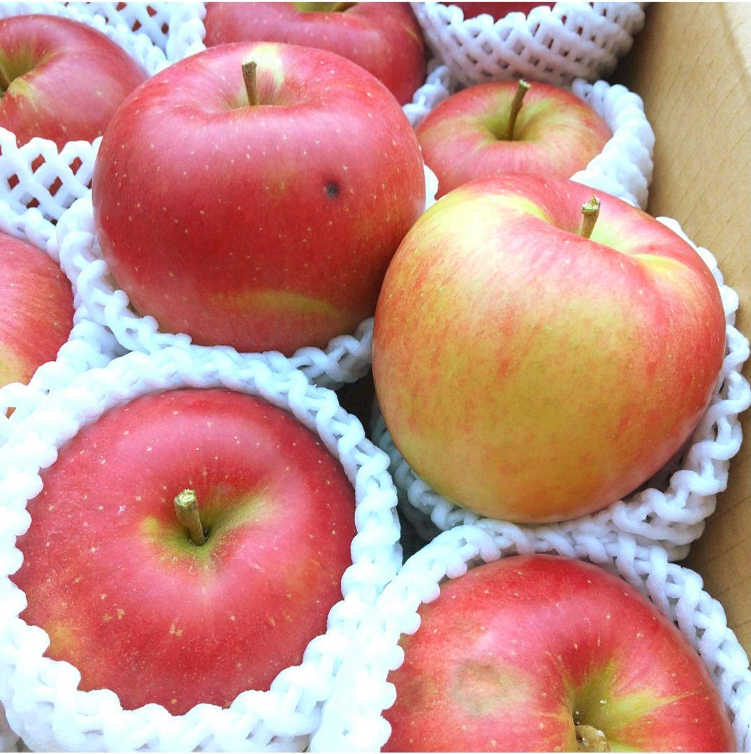 お得　あま〜い!!じぃじの美味しいシナノスイート 林檎10k