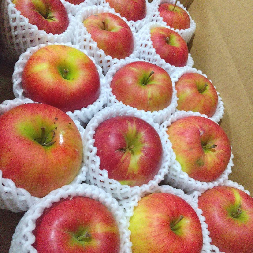 お得　あま〜い!!じぃじの美味しいシナノスイート 林檎10k