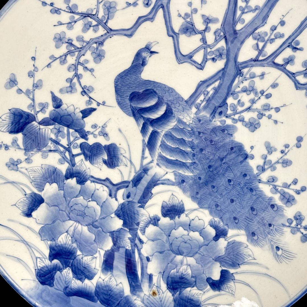 時代物　古伊万里　染付孔雀牡丹文大皿　直径46㎝