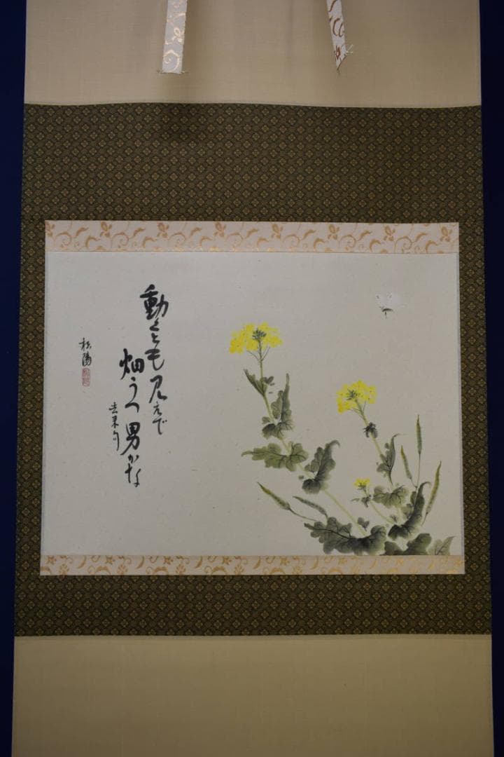 真作/松陽/なの花画賛/桐共箱付/布袋屋掛軸HG-822